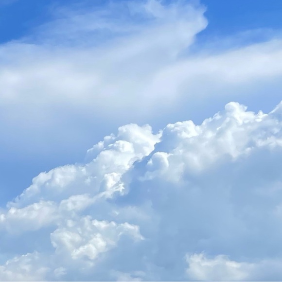 Meet your Posher, Shay - Picture 1 of 1